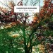 Ludovico Einaudi "In A Time Lapse" tracklist album