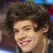 Harry-Styles