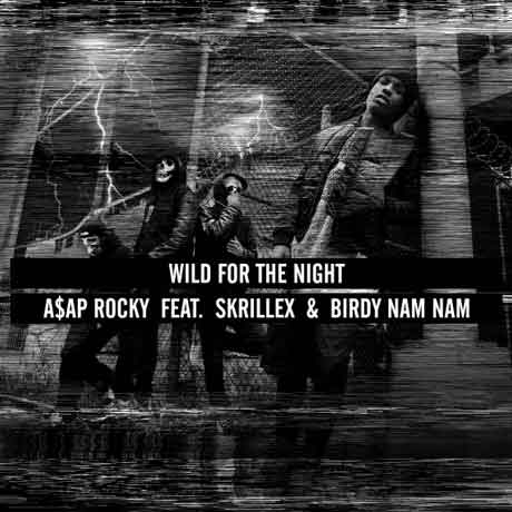 wild-for-the-night-asap-skrillex-birdy-nam-nam