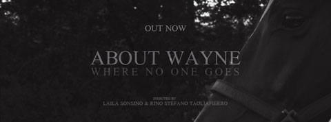 Where-No-One-Goes-videoclip-About-Wayne