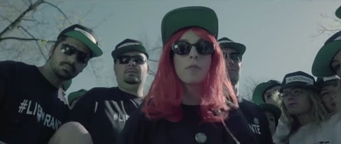 risvoltino-video-lignorante