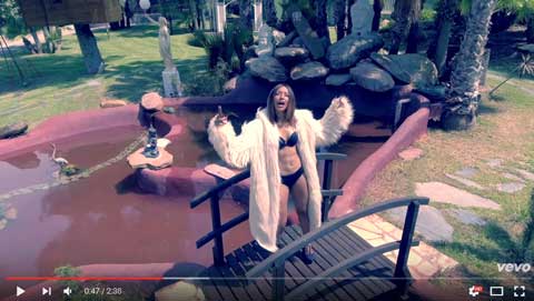 rumba-video-didy-max-brigante