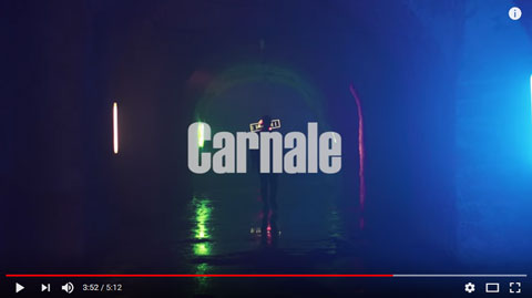 carnale-video