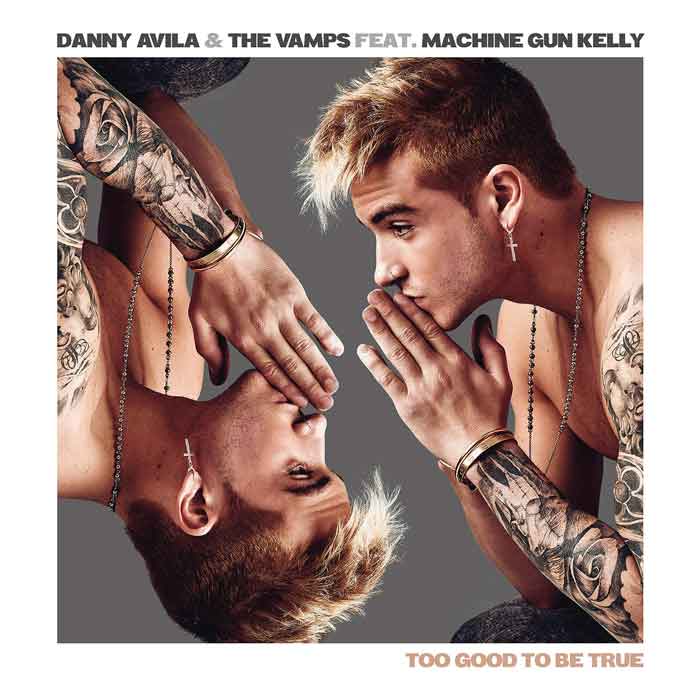 copertina-Too-Good-to-Be-True-Danny-Avila-The-Vamps