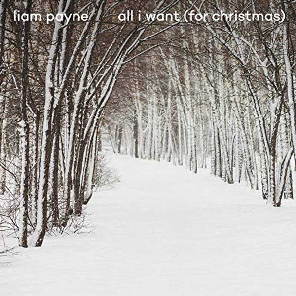 copertina canzone All I Want For Christmas