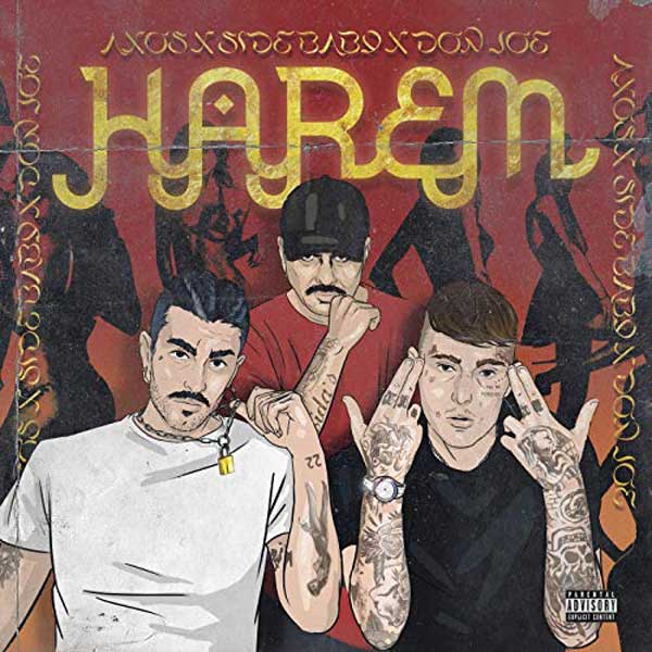 copertina canzone Harem