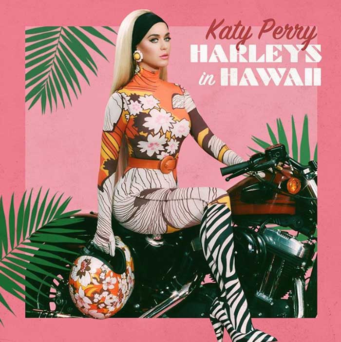 copertina canzone Harleys In Hawaii