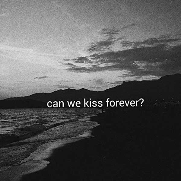 copertina canzone Can We Kiss Forever