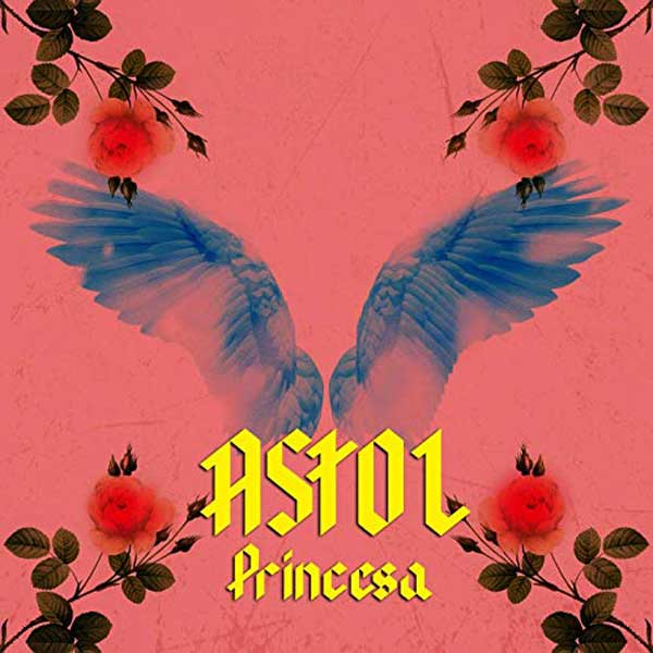 copertina canzone princesa